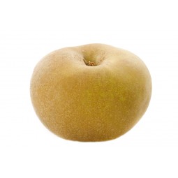 Pomme Canada