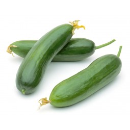 Mini concombre