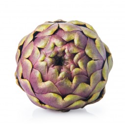 Artichaut Violet