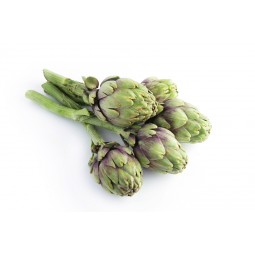 Artichaud poivrade