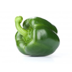 Poivron vert