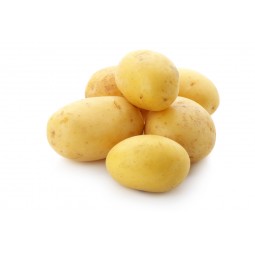 Pomme de terre Agata