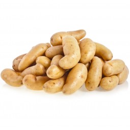 Pomme de terre Ratte du...
