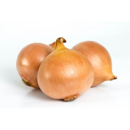 Oignon jaune