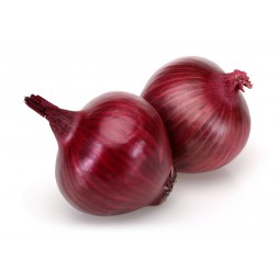 Oignon rouge