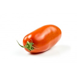 Tomate Torino