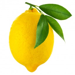 Citron de Menton