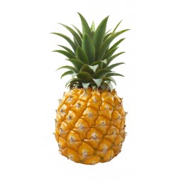 Ananas Victoria