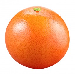 Pamplemousse