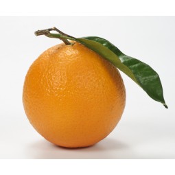 Orange Brute de cueille