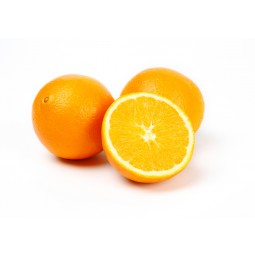 Orange Maltaise