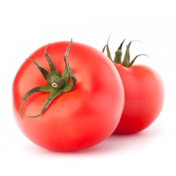 Tomate Ronde