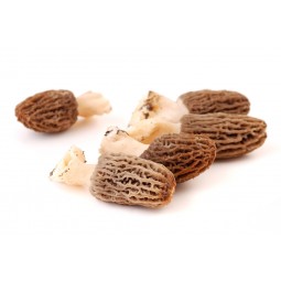 Morilles Séchées