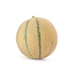 Melon
