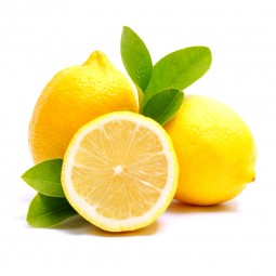 Citron jaune Bio