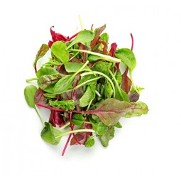 Mesclun