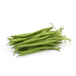 Haricots vert extra fin