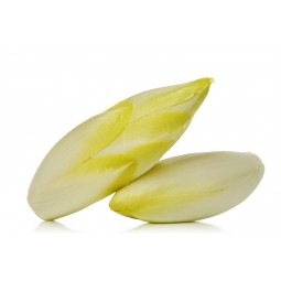 Endive