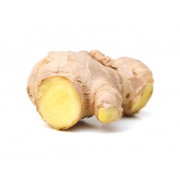 Gingembre