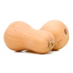 Butternut