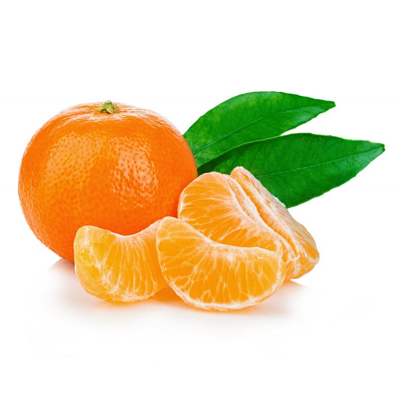 Clémentine Soculente