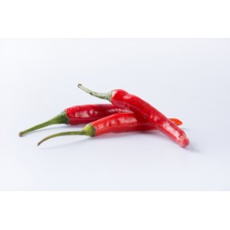 Piment rouge